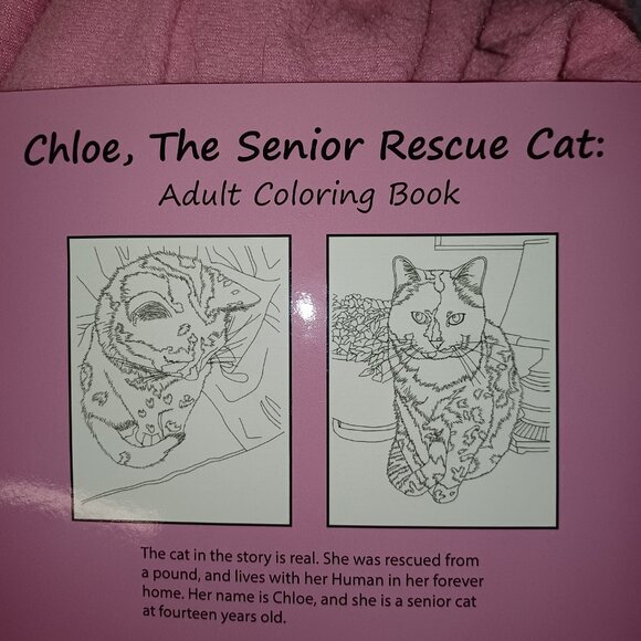 Cat Coloring Book - Picture 5 of 6